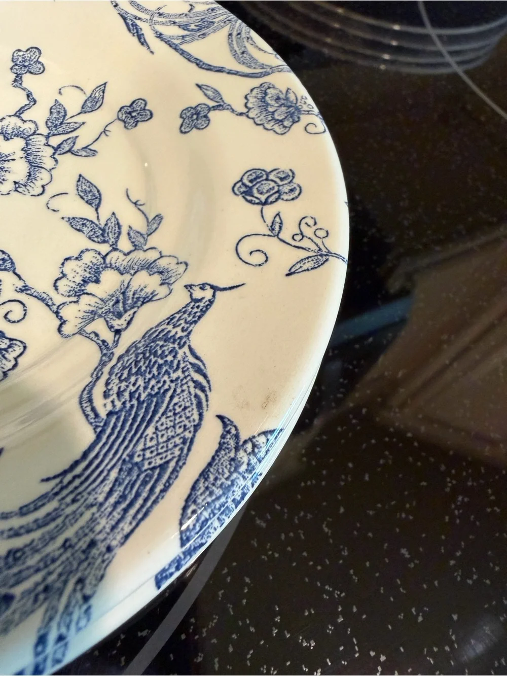 Vintage Staffordshire Engravings Birds of Paradise Floral - Set of 12
